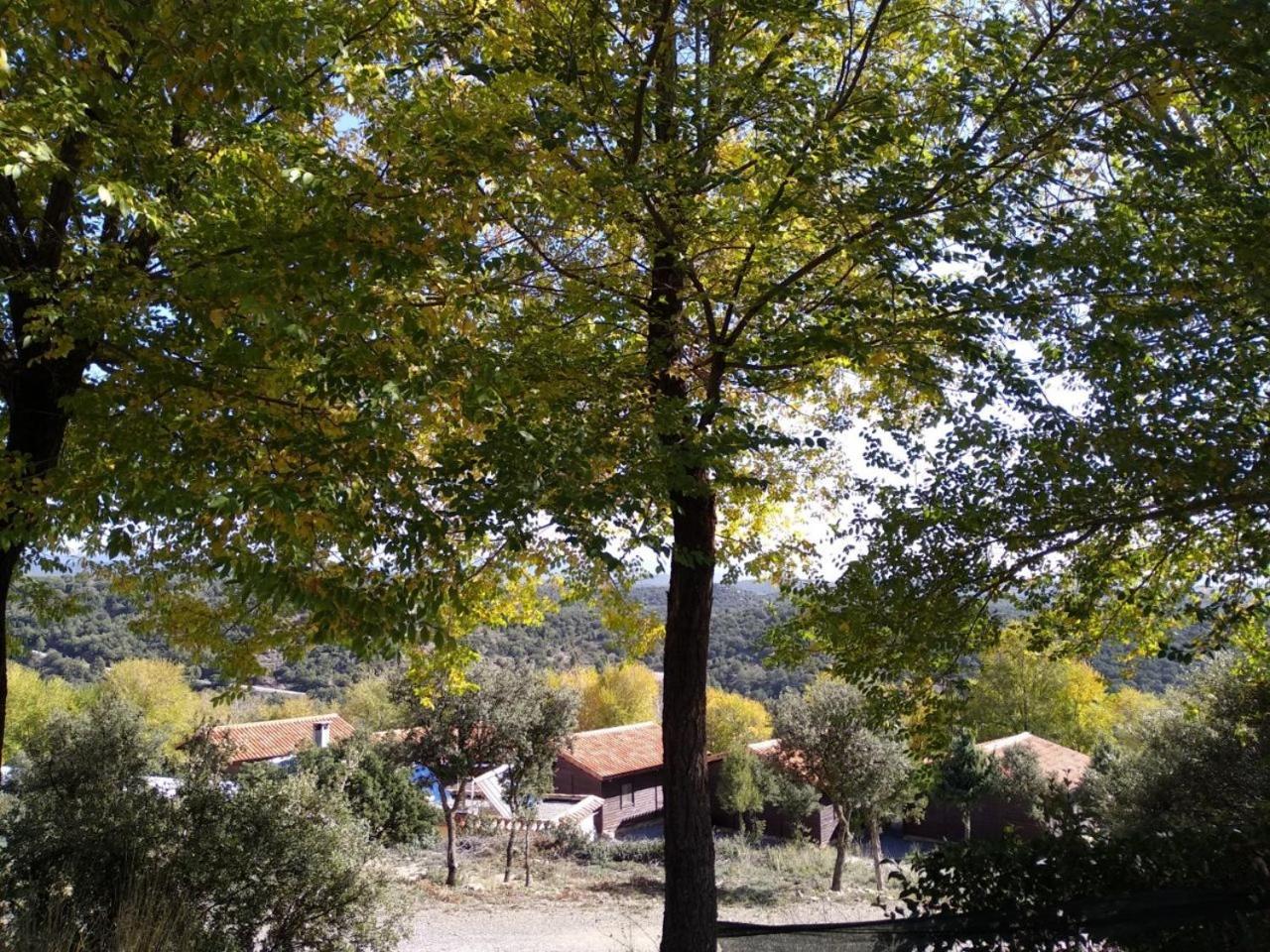 Camping Casa Fausto Cerca De Dinopolis Formiche Alto Dış mekan fotoğraf